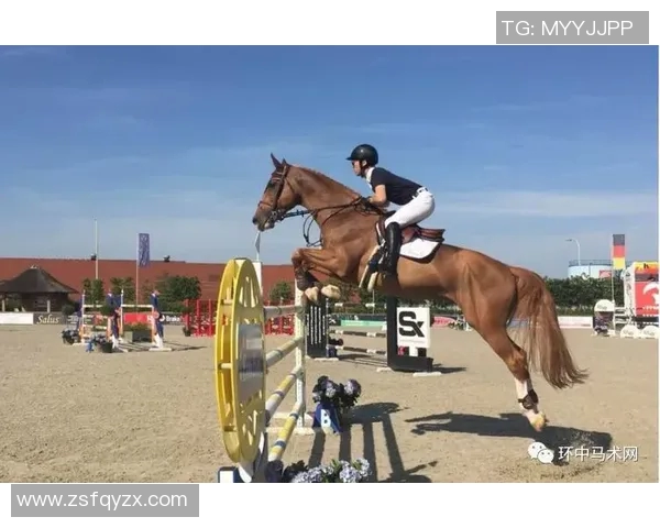 中国马术队首战惊艳全场成功晋级奥运决赛 展现实力和潜力